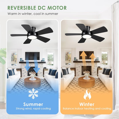 OLUZO 40“ Modern Ceiling Fans with Lights