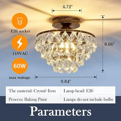 OLUZO 9.84" Modern Ceiling Lights