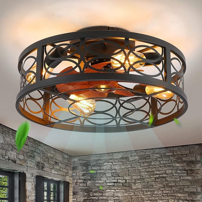 OLUZO 20'' Bladeless Caged Ceiling Fan with Lights