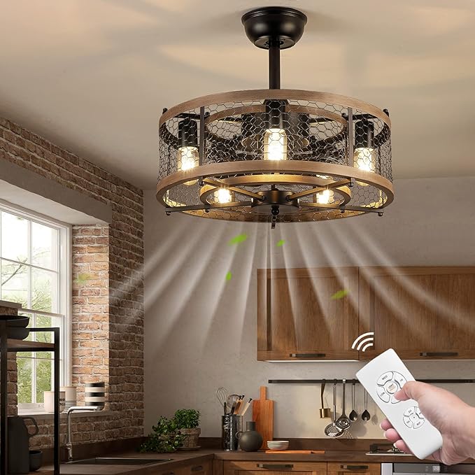 OLUZO 20'' Caged Ceiling Fans with Lights