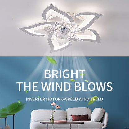 OLUZO 27" Ceiling Fan with Lights【get 20% coupon , buy on amz with code】