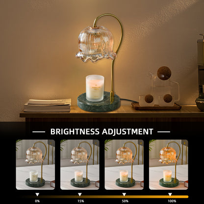 OLUZO Fragrance Candle Warmer Lamp with 2 Bulbs with Timer & Dimmer