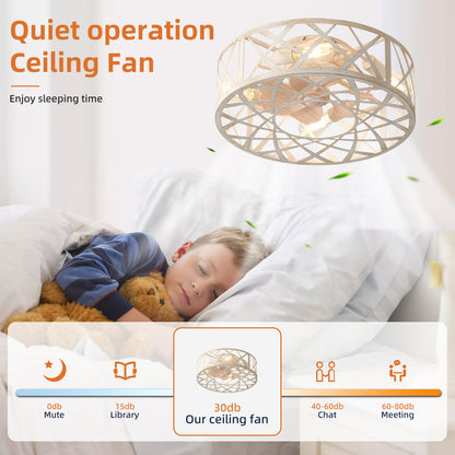 OLUZO 19.6 "European and American industrial suction ceiling fan light