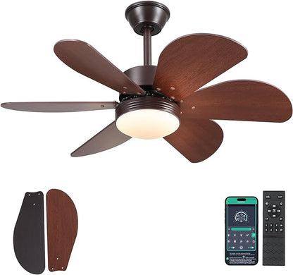 OLUZO 36" Modern Ceiling Fan