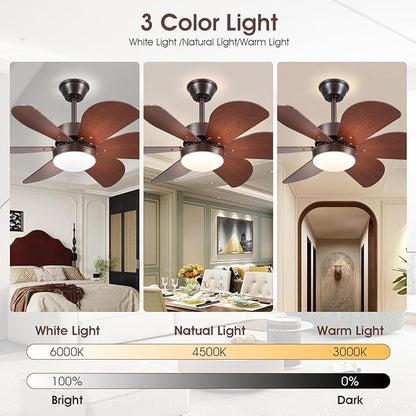 OLUZO 36" Modern Ceiling Fan