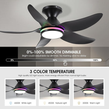 OLUZO 38” Modern energy-saving quiet Ceiling Fan