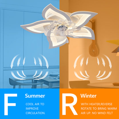 OLUZO 27" Ceiling Fan with Lights【get 20% coupon , buy on amz with code】