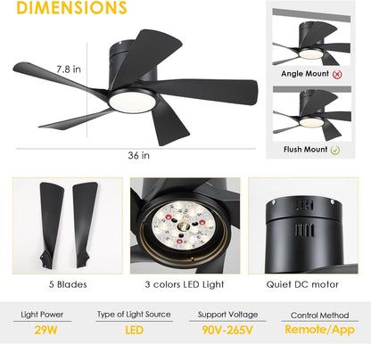 OLUZO 36” Unique design Ceiling Fan