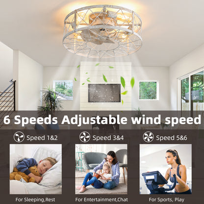 OLUZO 20" Caged Ceiling Fans with Lights and Remote & APP Control