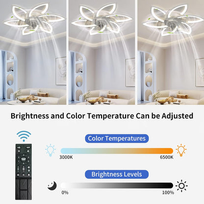 OLUZO 30" Ceiling Fan with Lights, Remote Control 3 Color Temperatures