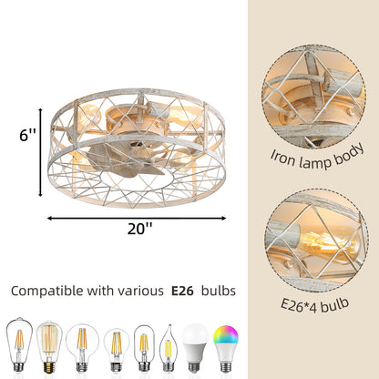 OLUZO 20" Caged Ceiling Fans with Lights and Remote & APP Control