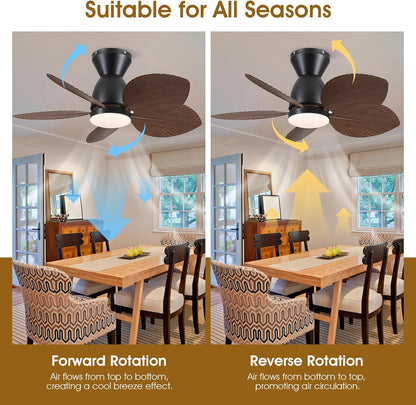 OLUZO 30” Personalized design Ceiling Fan