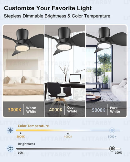 OLUZO 24" Reversible Black Modern Dimmable Ceiling Fan