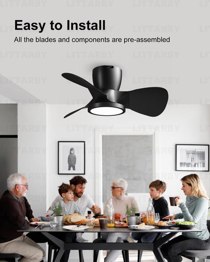 OLUZO 24" Reversible Black Modern Dimmable Ceiling Fan